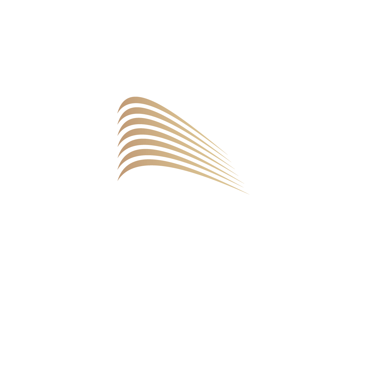 Plaza Design